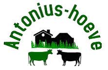 Camping Antoniushoeve